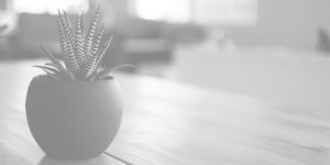 Plante sur un bureau